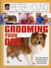 Grooming Your Dog