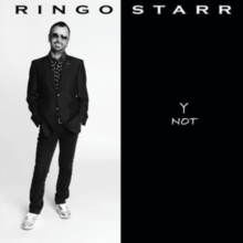 Y Not, CD / Album Cd Y Not, CD / Album Cd