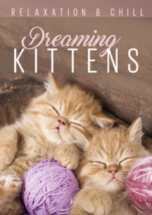 Dreaming Kittens, DVD Dreaming Kittens, DVD