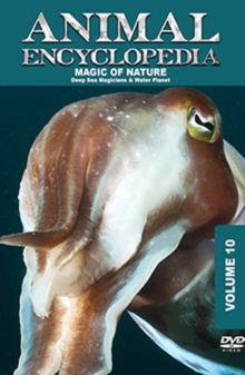 Animal Encyclopedia: Volume 10 - Deep Sea Magicians, DVD DVD Animal Encyclopedia: Volume 10 - Deep Sea Magicians, DVD DVD