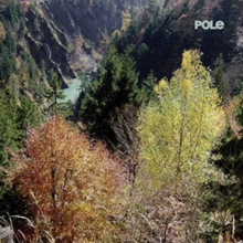 Wald, Vinyl / 12" Album Wald, Vinyl / 12" Album