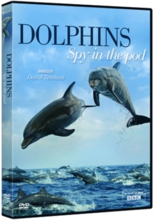 Dolphins: Spy in the Pod, DVD Dolphins: Spy in the Pod, DVD