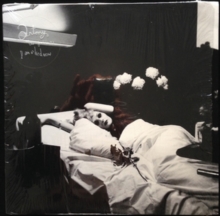 I Am a Bird Now, CD / Album I Am a Bird Now, CD / Album