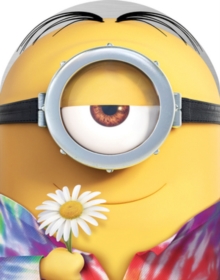 Minions, DVD DVD Minions, DVD DVD