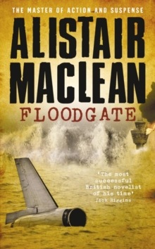 Floodgate, Paperback Book Floodgate, Paperback Book