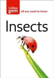 Insects, Paperback Book Insects, Paperback Book