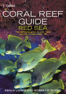 Coral Reef Guide Red Sea : Red Sea to Gulf of Aden, South Oman, Paperback Coral Reef Guide Red Sea : Red Sea to Gulf of Aden, South Oman, Paperback