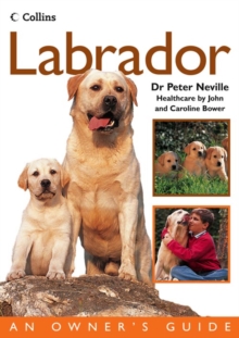 Labrador, Paperback Book Labrador, Paperback Book