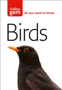 Birds, Paperback Book Birds, Paperback Book