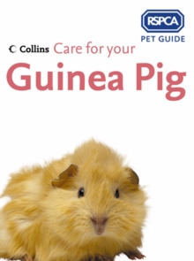 Care for your Guinea Pig, Paperback Book Care for your Guinea Pig, Paperback Book