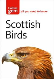 Scottish Birds, Paperback Book Scottish Birds, Paperback Book