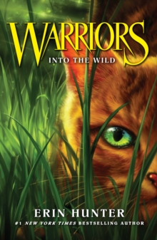 Into the Wild, Paperback Book Into the Wild, Paperback Book