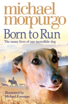 Born to Run, Paperback Born to Run, Paperback