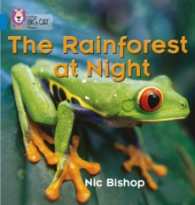 The Rainforest at Night : Band 04/Blue, Paperback The Rainforest at Night : Band 04/Blue, Paperback
