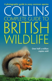 British Wildlife : A Photographic Guide to Every Common Species, Paperback Book British Wildlife : A Photographic Guide to Every Common Species, Paperback Book