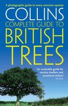 British Trees : A Photographic Guide to Every Common Species, Paperback Book British Trees : A Photographic Guide to Every Common Species, Paperback Book