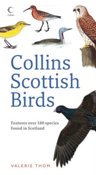 Collins Scottish Birds, Paperback Book Collins Scottish Birds, Paperback Book