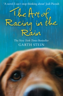 The Art of Racing in the Rain, Paperback Book The Art of Racing in the Rain, Paperback Book