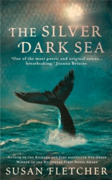 The Silver Dark Sea, Hardback Book The Silver Dark Sea, Hardback Book