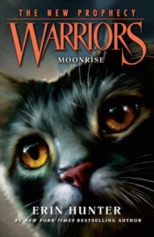 MOONRISE, Paperback Book MOONRISE, Paperback Book