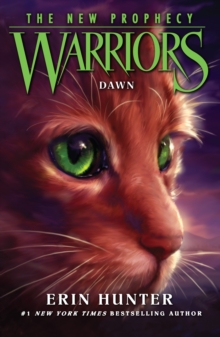 DAWN, Paperback Book DAWN, Paperback Book