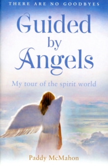 Guided By Angels : There are No Goodbyes, My Tour of the Spirit World, Paperback Book Guided By Angels : There are No Goodbyes, My Tour of the Spirit World, Paperback Book