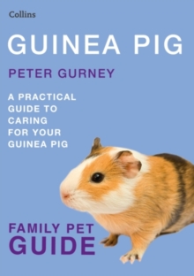 Guinea Pig, Paperback Guinea Pig, Paperback