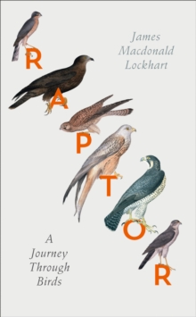 Raptor : A Journey Through Birds, Hardback Raptor : A Journey Through Birds, Hardback