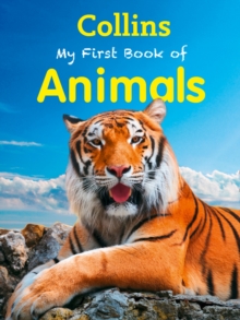 My First Book of Animals, Paperback Book My First Book of Animals, Paperback Book