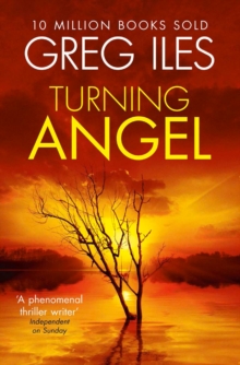 Turning Angel, Paperback Book Turning Angel, Paperback Book