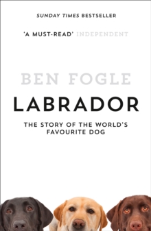 Labrador : The Story of the World's Favourite Dog, Paperback Labrador : The Story of the World's Favourite Dog, Paperback