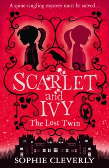 The Lost Twin, Paperback Book The Lost Twin, Paperback Book