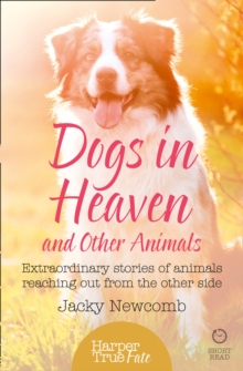 Dogs in Heaven: and Other Animals : Extraordinary Stories of Animals Reaching out from the Other Side, Paperback Book Dogs in Heaven: and Other Animals : Extraordinary Stories of Animals Reaching out from the Other Side, Paperback Book