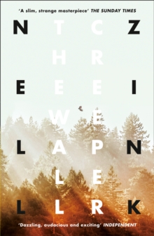 The Wallcreeper, Paperback The Wallcreeper, Paperback