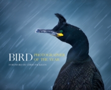 Bird Photographer of the Year, Hardback Bird Photographer of the Year, Hardback