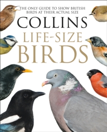 Collins Life-Sized Birds : The Only Guide to Show British Birds at Their Actual Size, Hardback Collins Life-Sized Birds : The Only Guide to Show British Birds at Their Actual Size, Hardback