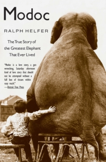 Modoc : The True Story of the Greatest Elephant That Ever Lived, Paperback Book Modoc : The True Story of the Greatest Elephant That Ever Lived, Paperback Book