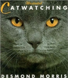 Illustrated Catwatching, Paperback Book Illustrated Catwatching, Paperback Book