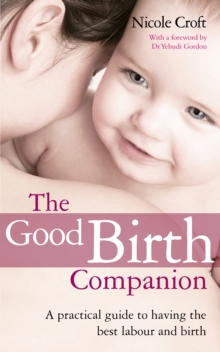 The Good Birth Companion : A Practical Guide to Having the Best Labour and Birth, Paperback Book The Good Birth Companion : A Practical Guide to Having the Best Labour and Birth, Paperback Book