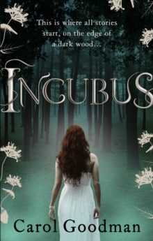 Incubus, Paperback Book Incubus, Paperback Book