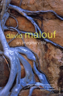 An Imaginary Life, Paperback Book An Imaginary Life, Paperback Book