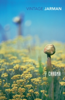Chroma:A Book of Colour - June '93, Paperback Book Chroma:A Book of Colour - June '93, Paperback Book