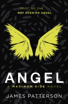 Maximum Ride: Angel, Paperback Book Maximum Ride: Angel, Paperback Book