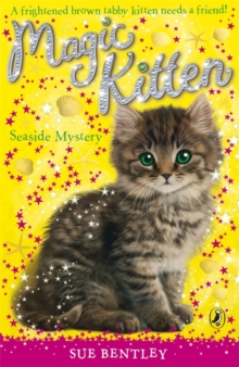 Seaside Mystery, Paperback Book Seaside Mystery, Paperback Book