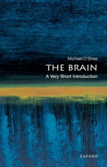 The Brain: A Very Short Introduction, Paperback Book The Brain: A Very Short Introduction, Paperback Book