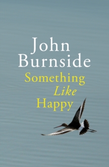 Something Like Happy, Hardback Something Like Happy, Hardback