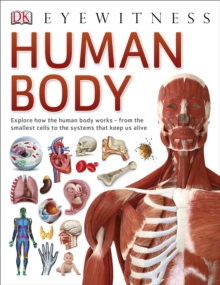 Human Body, Paperback Human Body, Paperback