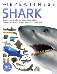Shark, Paperback Book Shark, Paperback Book