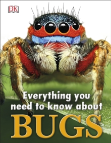 Everything You Need to Know About Bugs, Hardback Book Everything You Need to Know About Bugs, Hardback Book