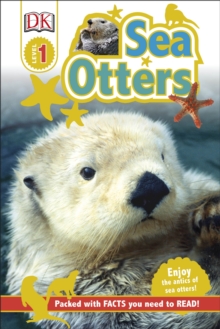 Sea Otters, Hardback Book Sea Otters, Hardback Book